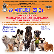 29 апреля Международная выставка собак всех пород