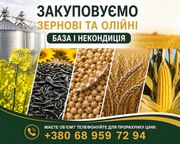 Закуповуємо зернові та олійні по всій Україні
